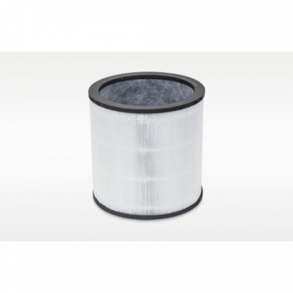 DYSON 972426-01 Evo Carbon Filter Retail for TP00/TP02